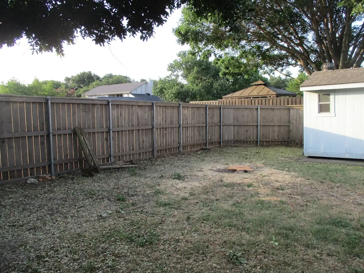 Cleared yard after professional tree removal in Moundsville