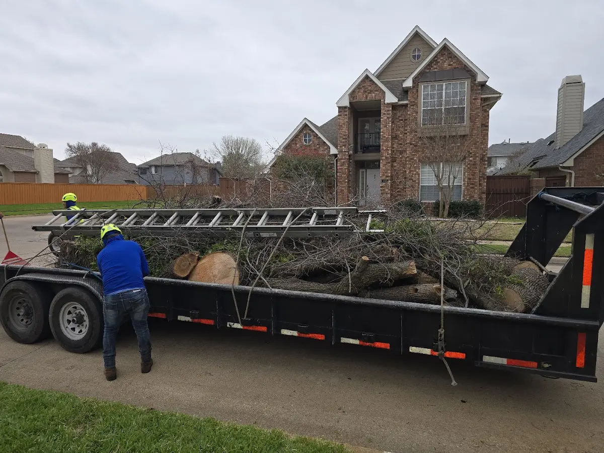 Expert Tree Fertilization with proper safety equipment in Moundsville